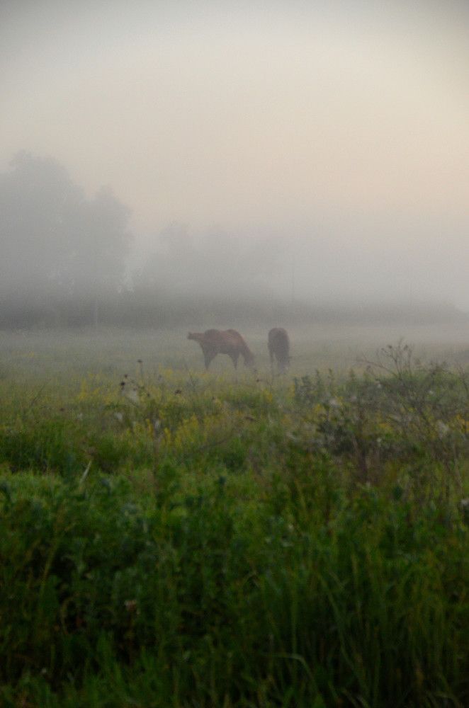 Photograph by Андрей Антипатров