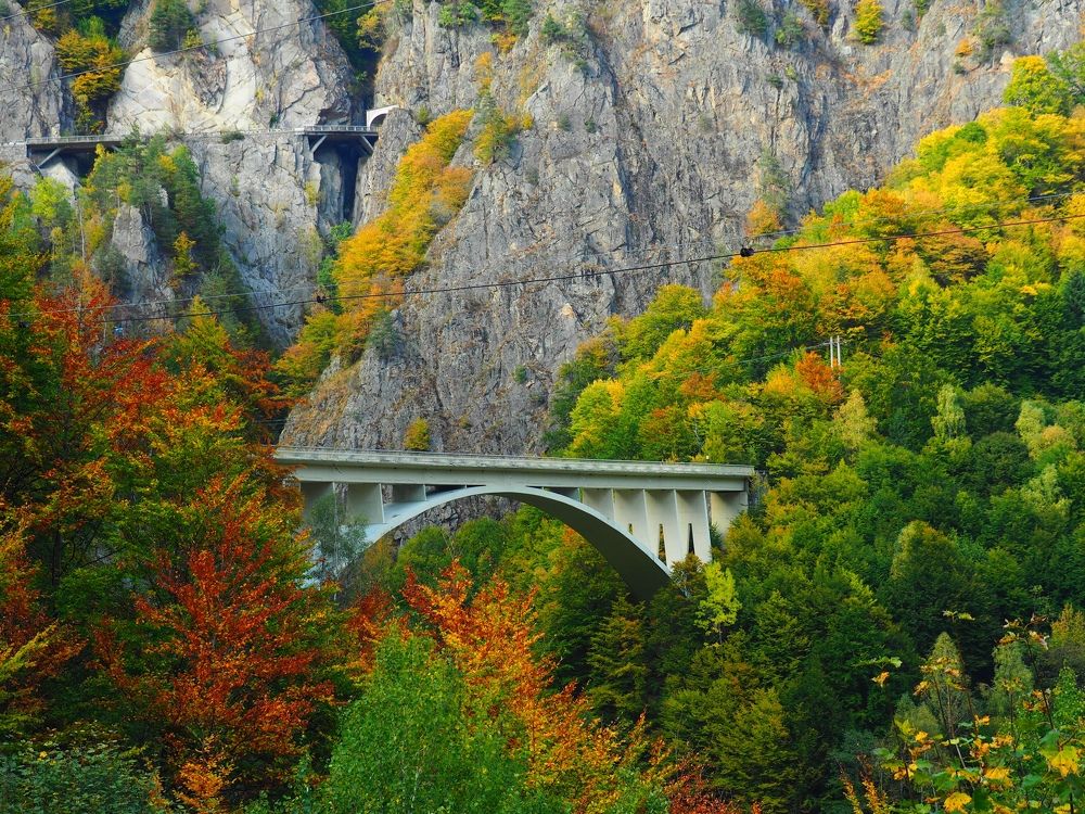 Photograph by ANDREY PERESHEIN