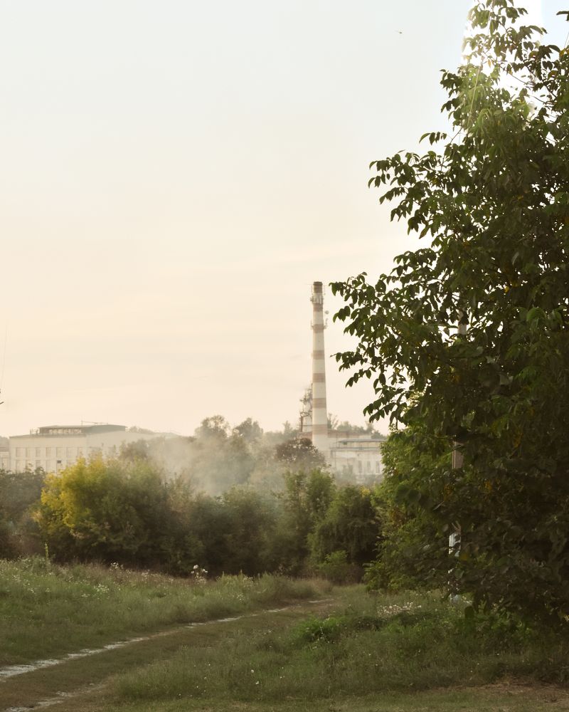 Завод в тумане