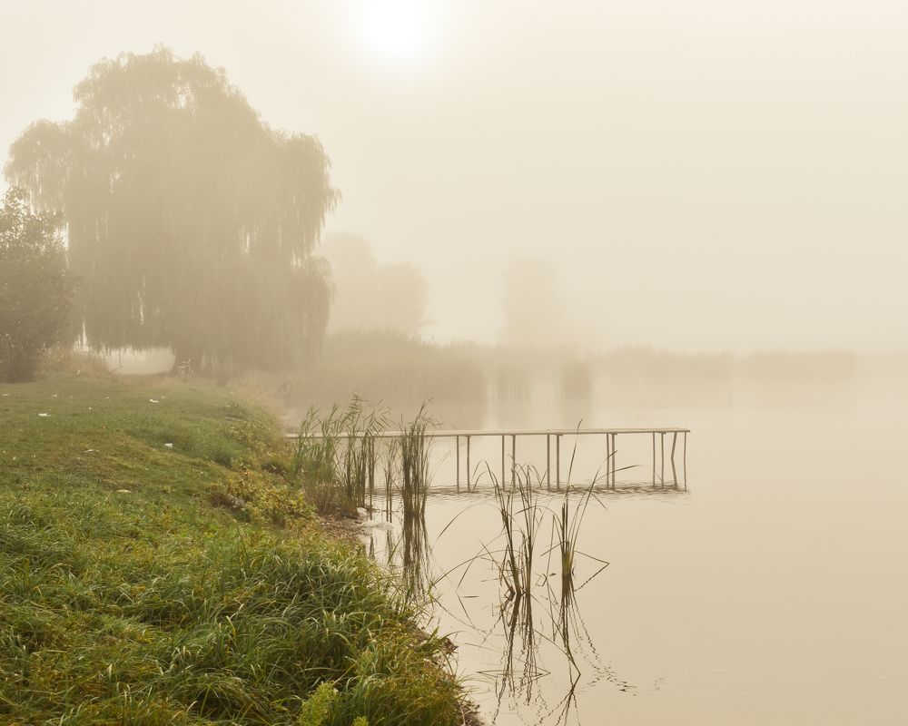 Photograph by Татьяна Павленчук
