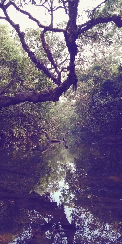 Photograph by Tapashya Pihwal