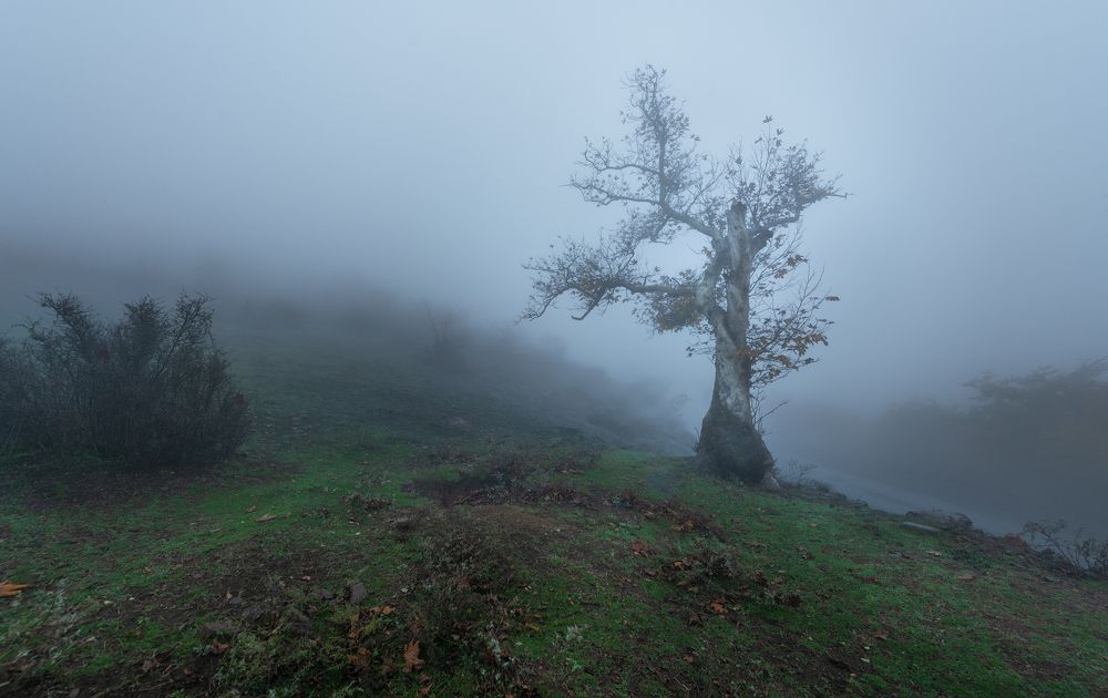 Photograph by Amir Khan