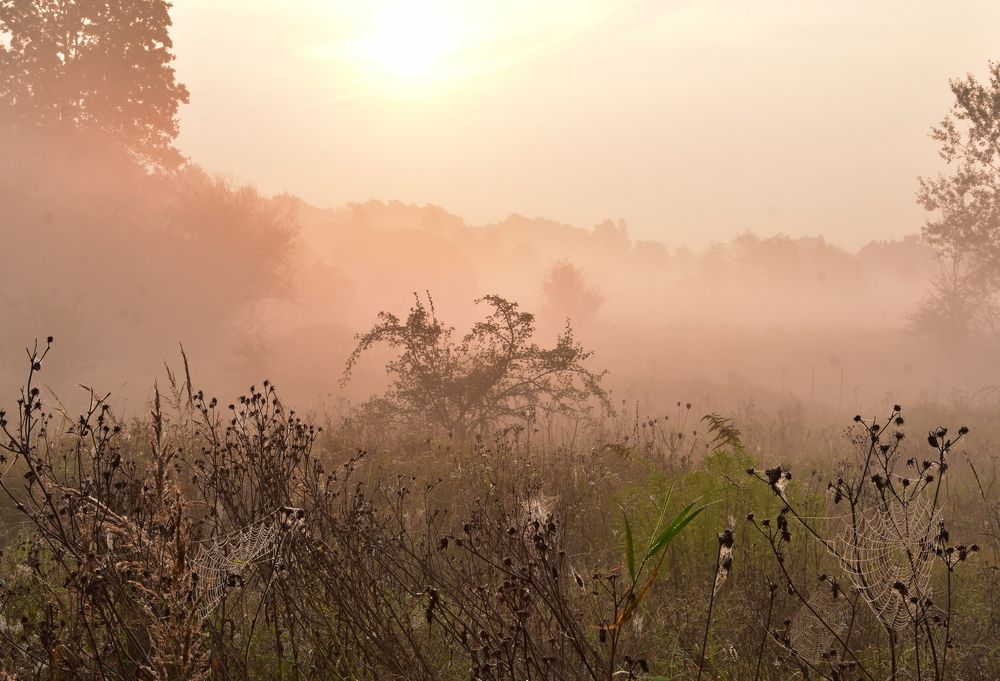 Photograph by Ирина Алексеева