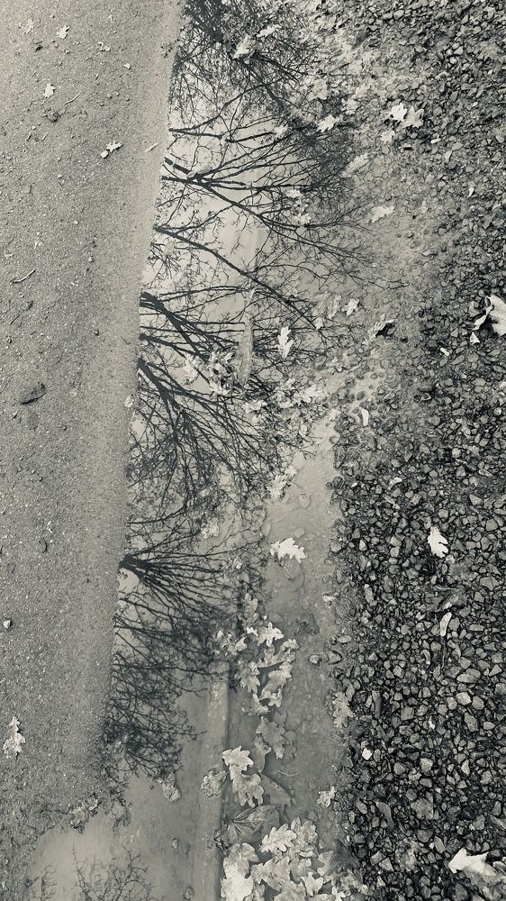 Фотография автора Vera Dobychina