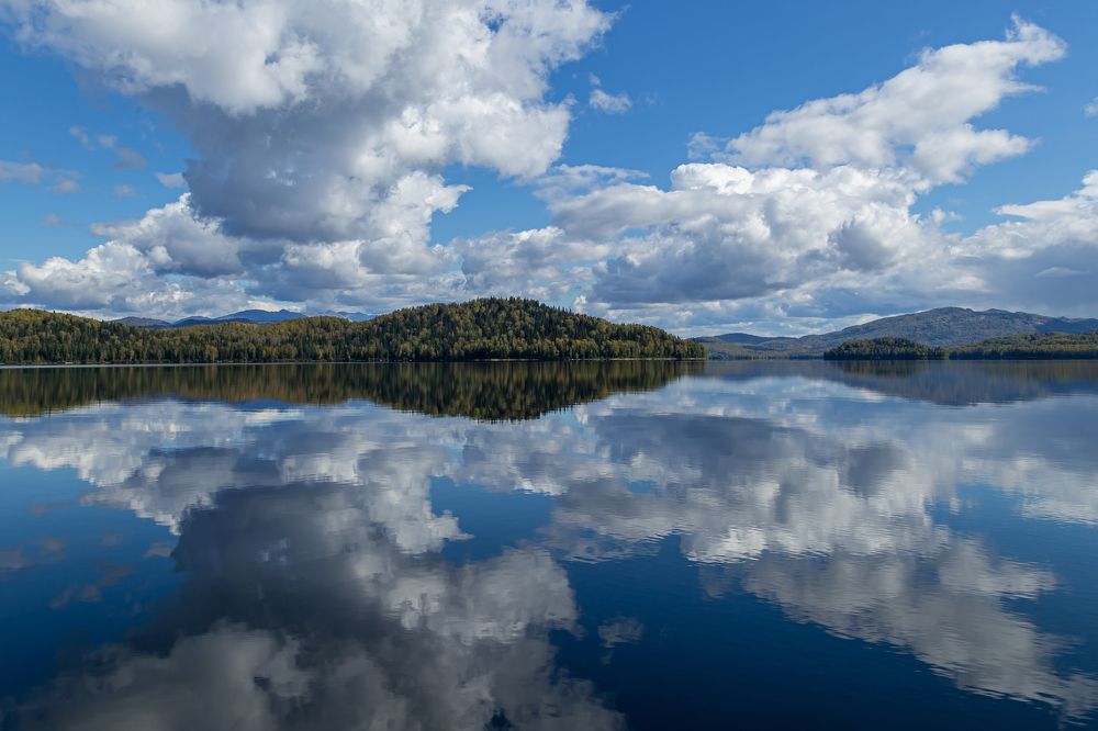 Зеркало тайги