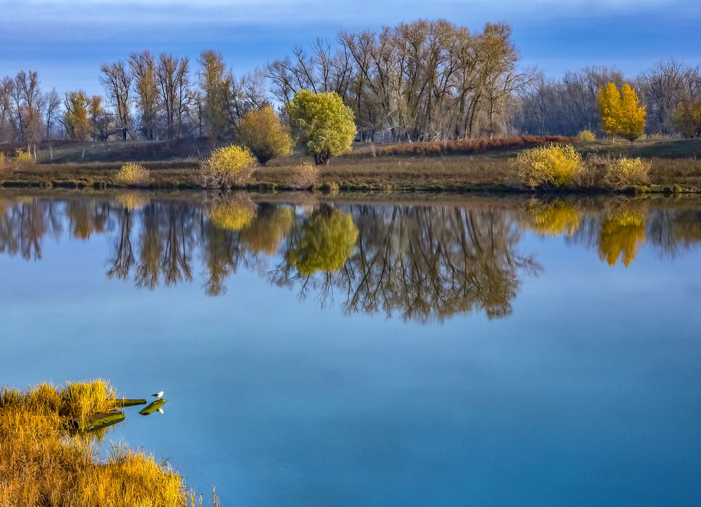 Осеннее утро на Ахтубе