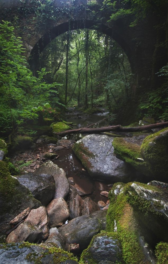 Фотография автора Laura Baratas