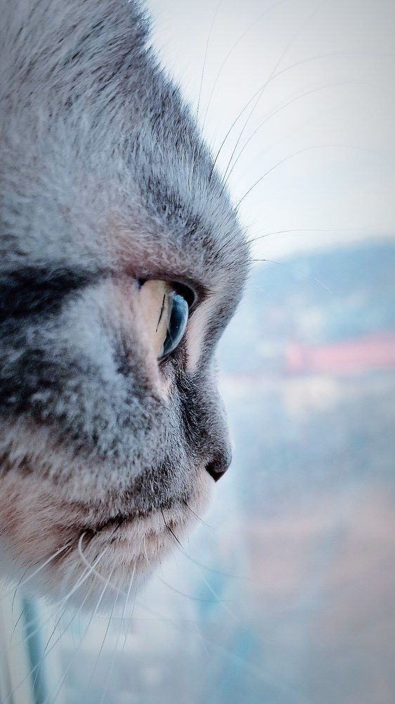 Photograph by Анна Савенко