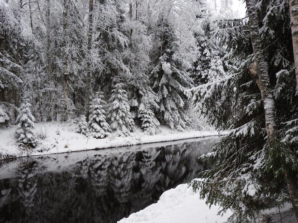 Фотография автора Юлия Овчинникова
