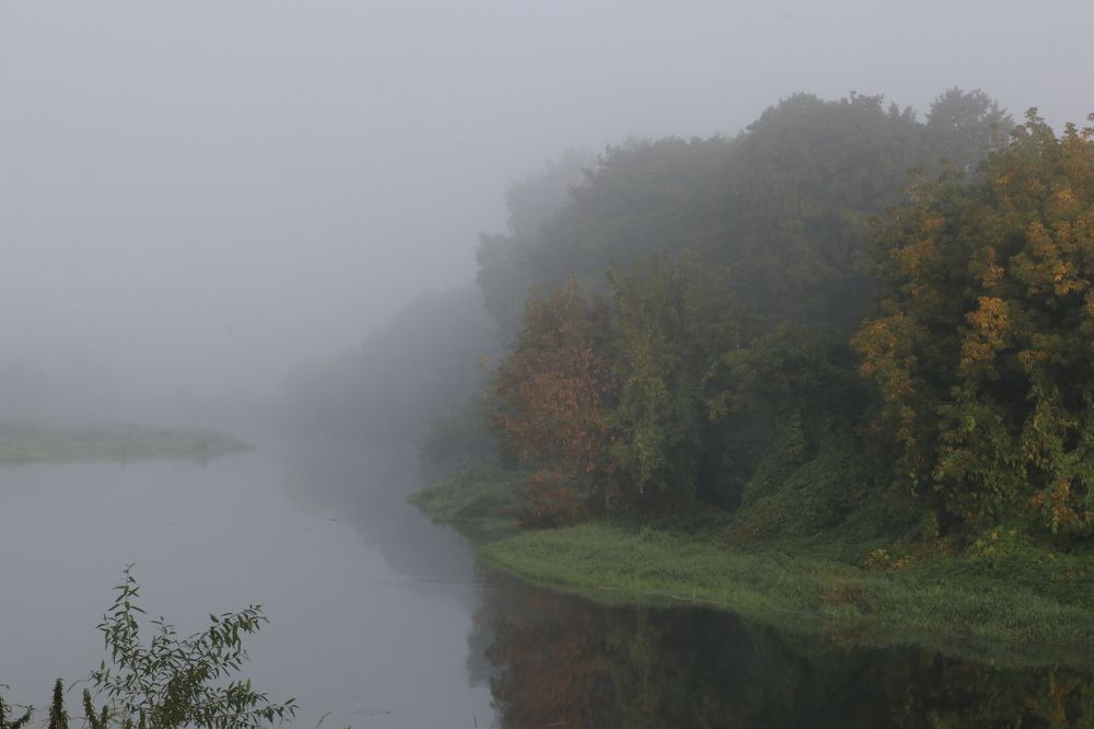 Photograph by Светлана Богомолова