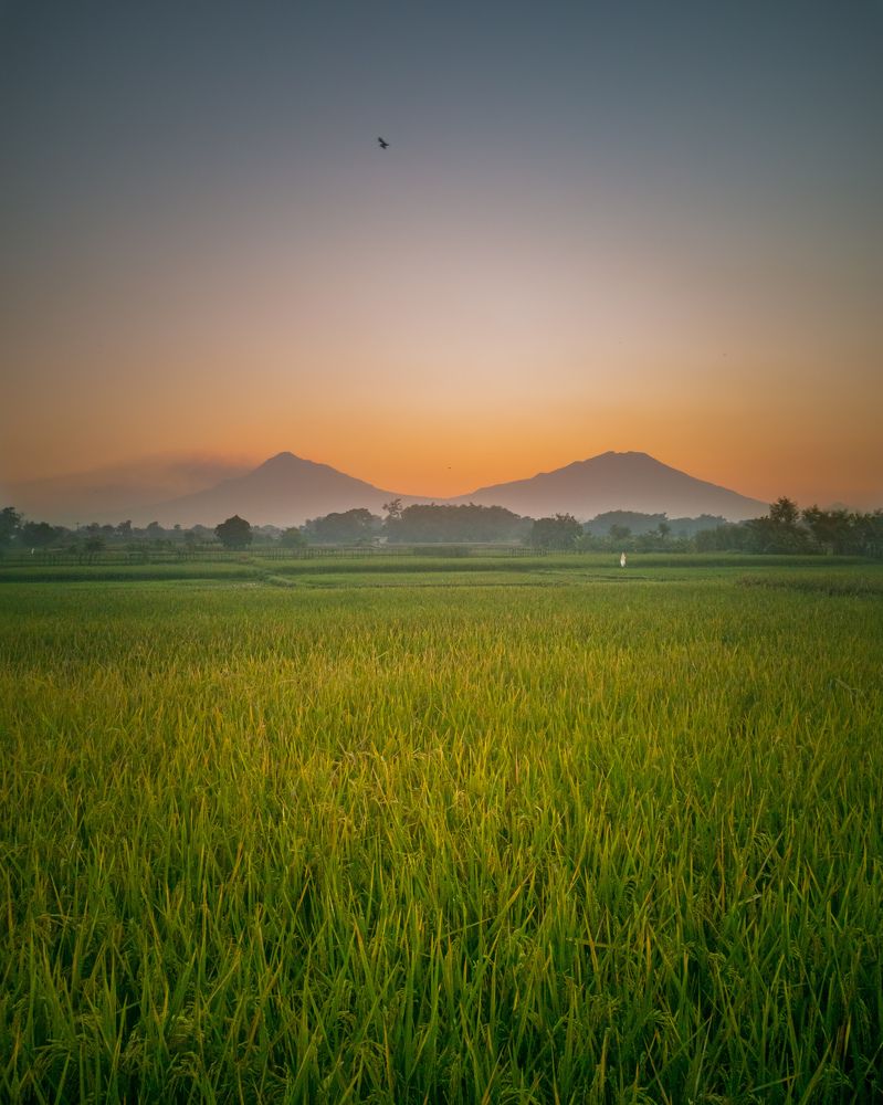 Photograph by Mabrur huda