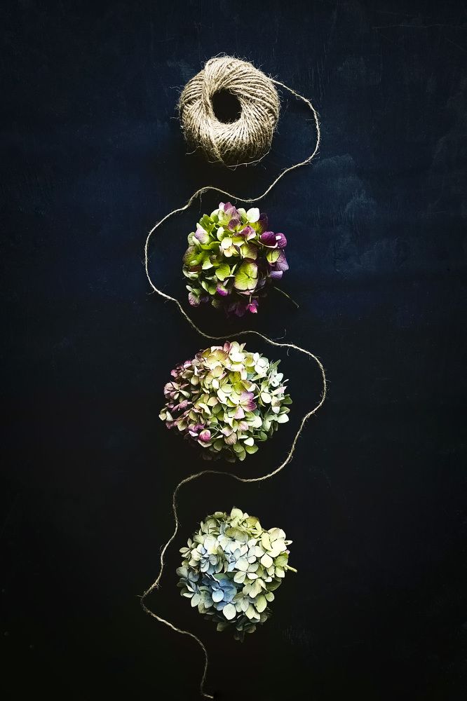 Photograph by Алла Вовк