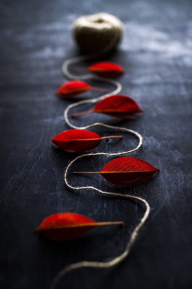 Photograph by Алла Вовк