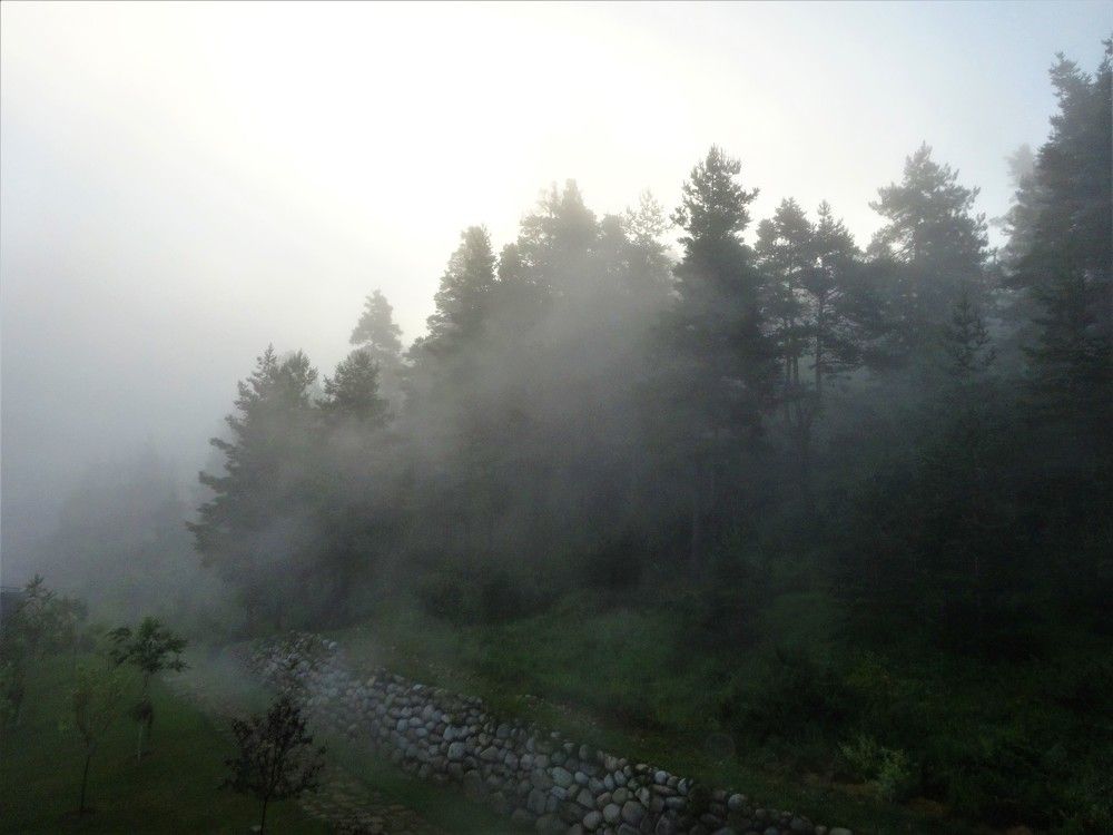 Photograph by Arkady Sandler