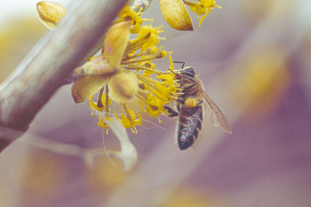 Фотография автора Юлия Трубанова