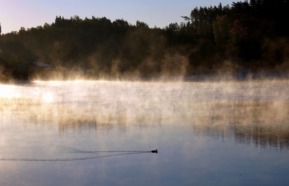 Photograph by Arkady Sandler