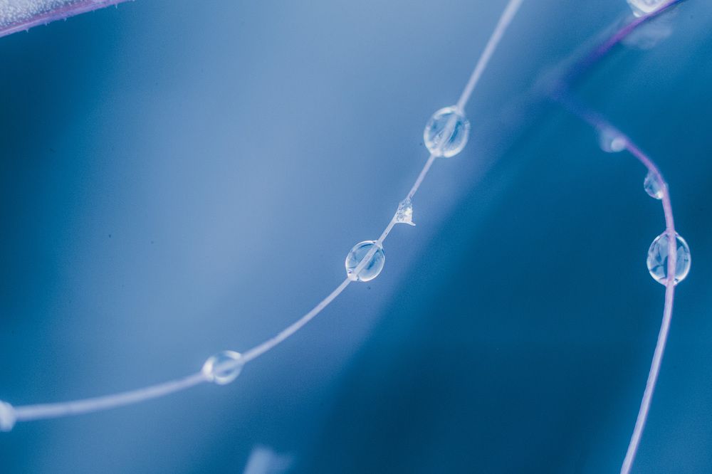 Фотография автора Юлия Трубанова