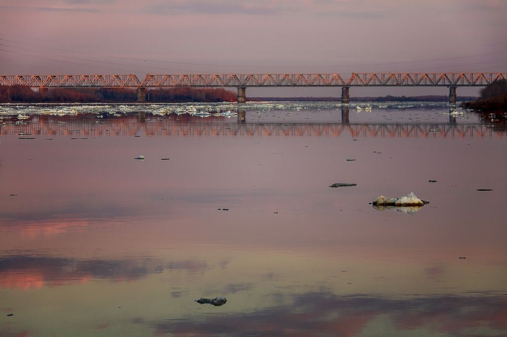 Фотография автора Алексей Трифонов