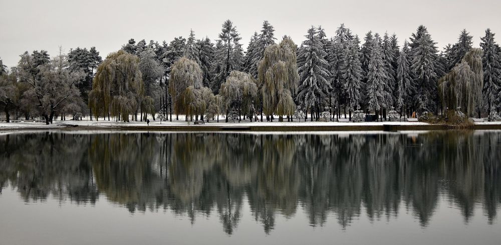 Фотография автора Шипунова Ирина