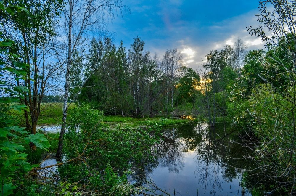 Photograph by Дарья Миронова