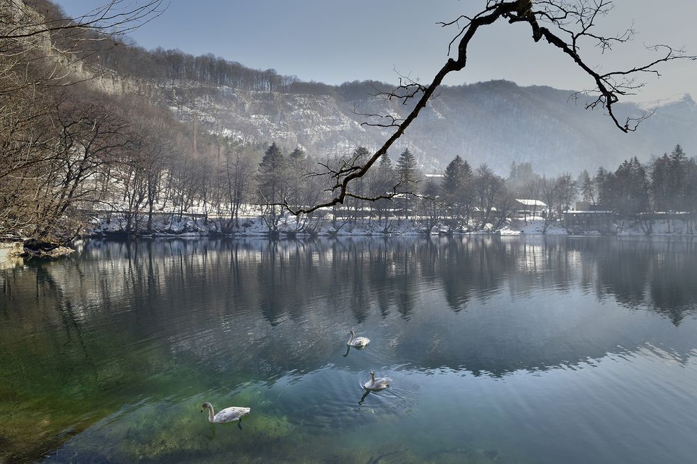 Фотография автора Шипунова Ирина