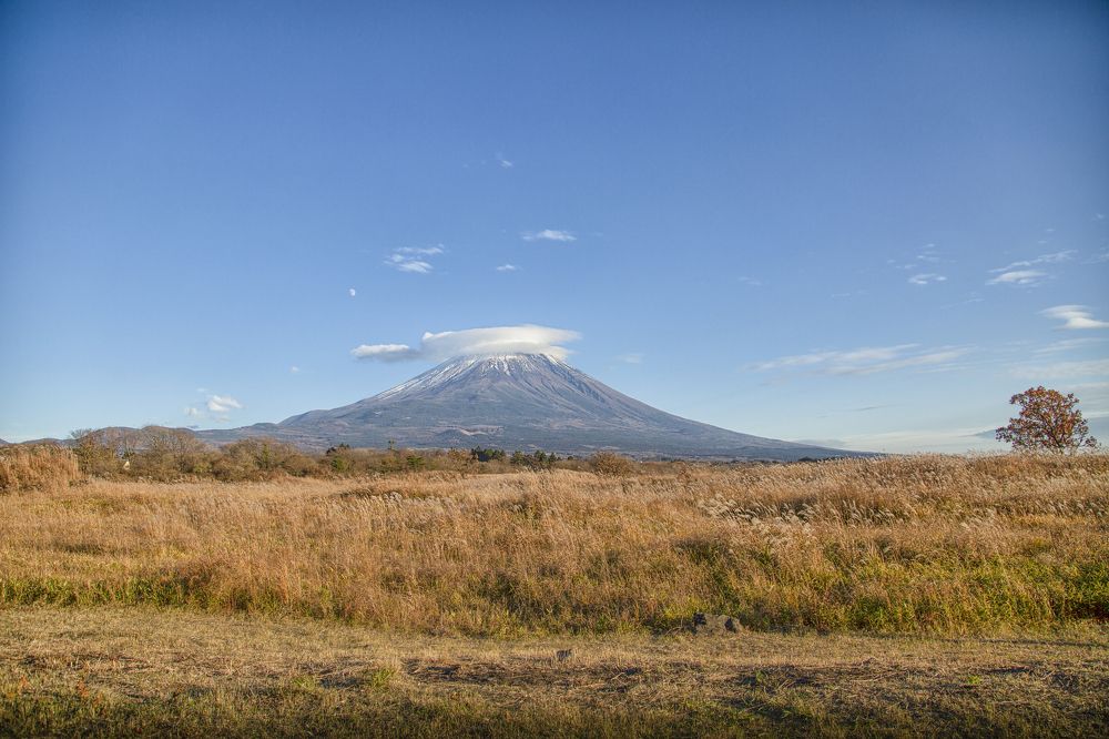 Fuji san