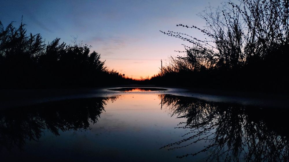 Photograph by Елена