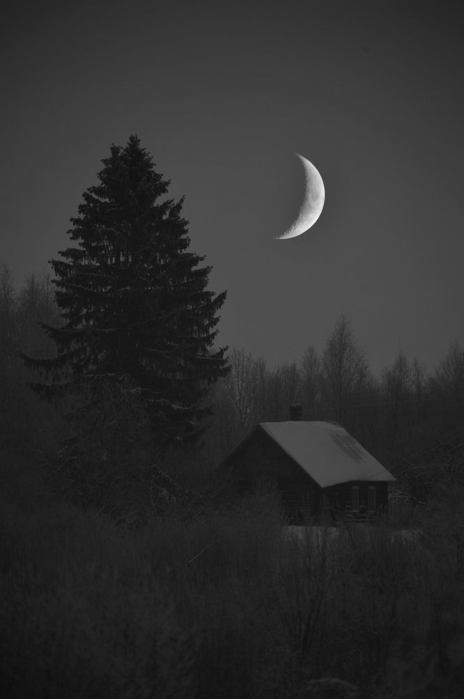 Photograph by Юрий Яковлев