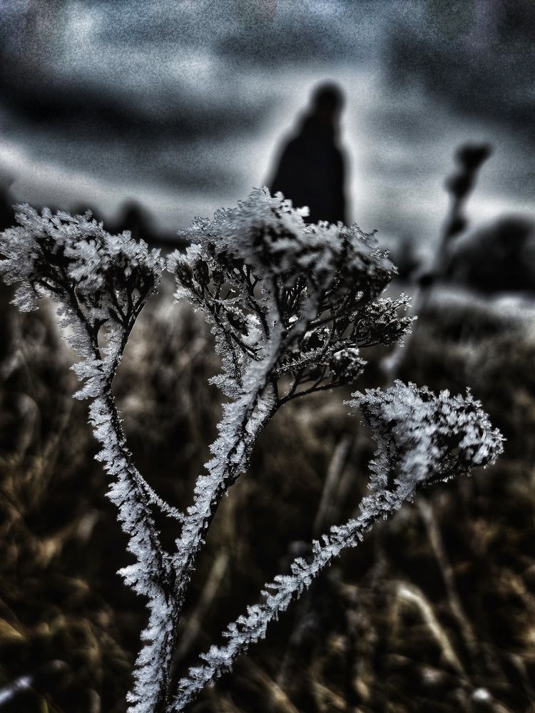 Photograph by Оксана Павлюченко