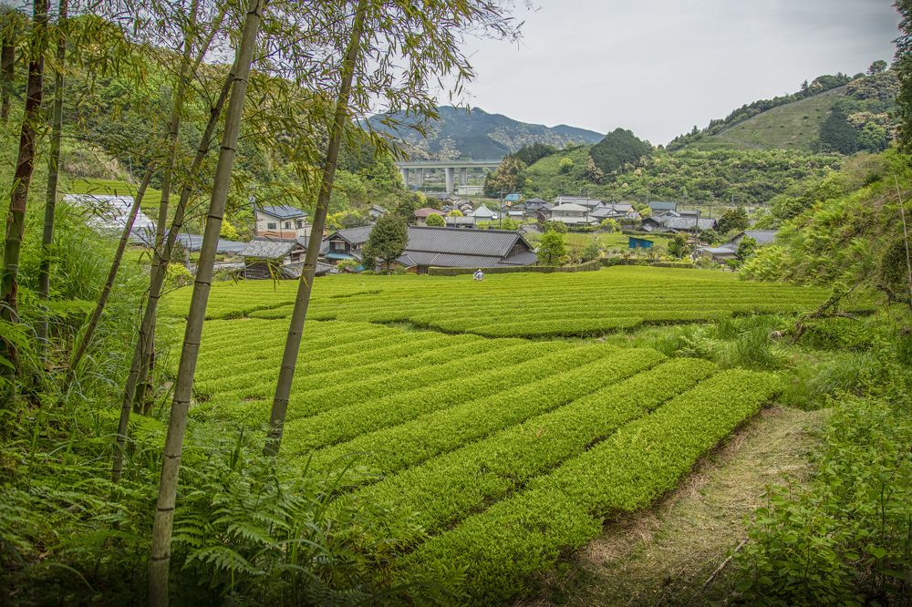 Photograph by Syundyukova Oksana