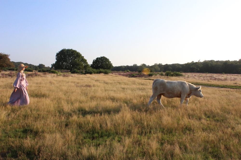 Фотография автора Anna