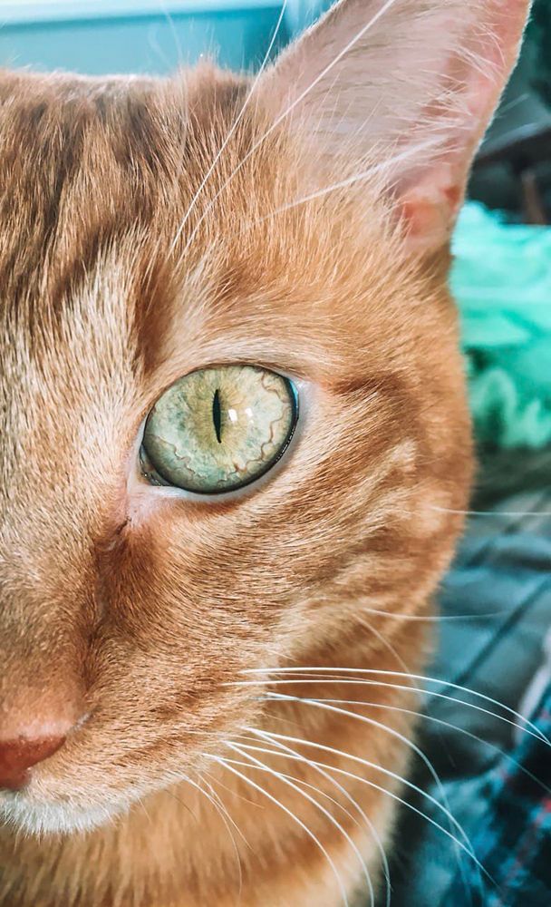 Photograph by Татьяна Моисеева