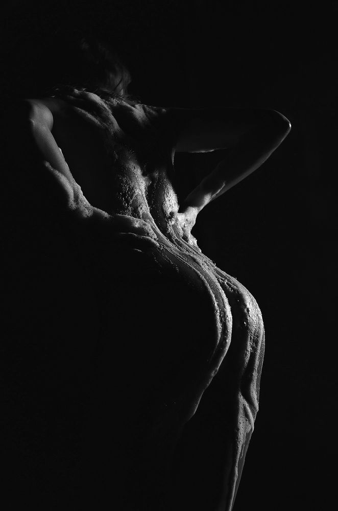 Фотография автора Наталья Шевченко