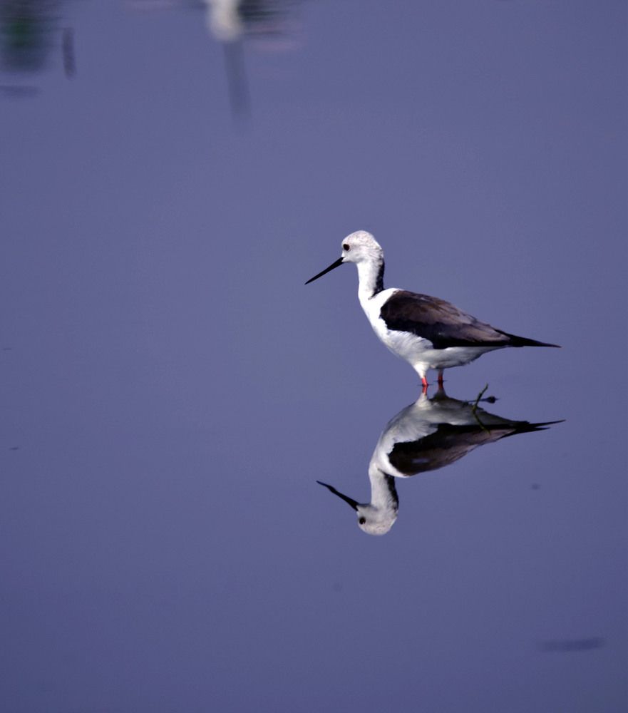 Photograph by Satish Nerlekar