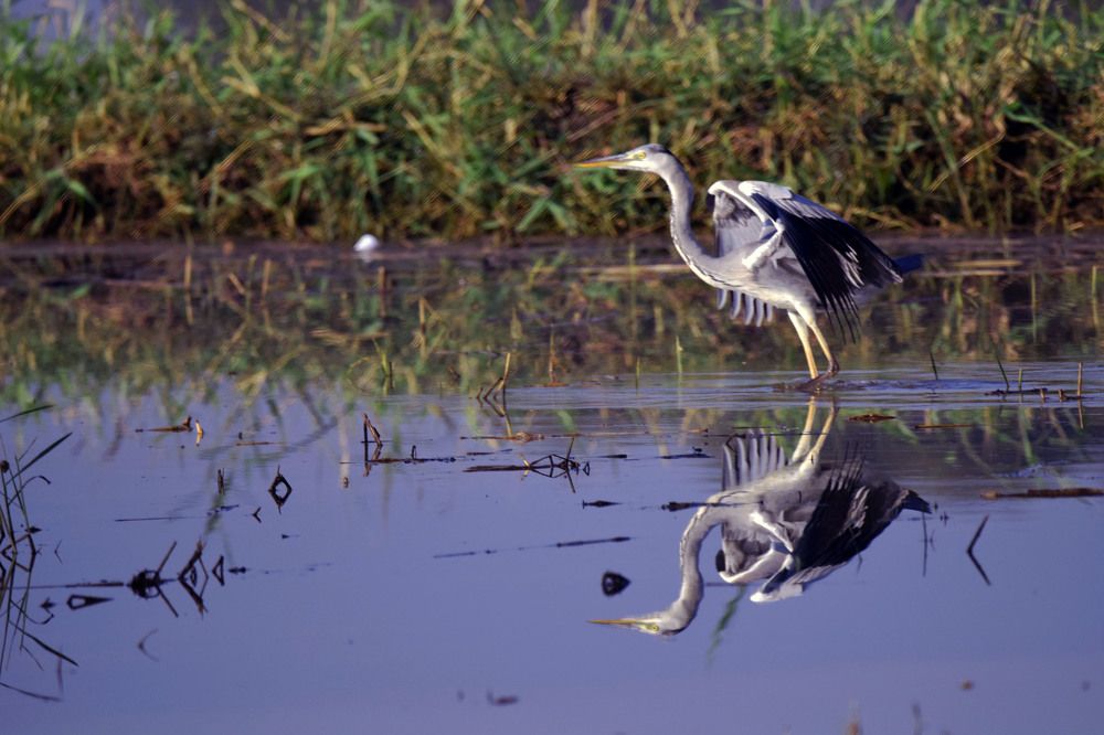 Photograph by Satish Nerlekar