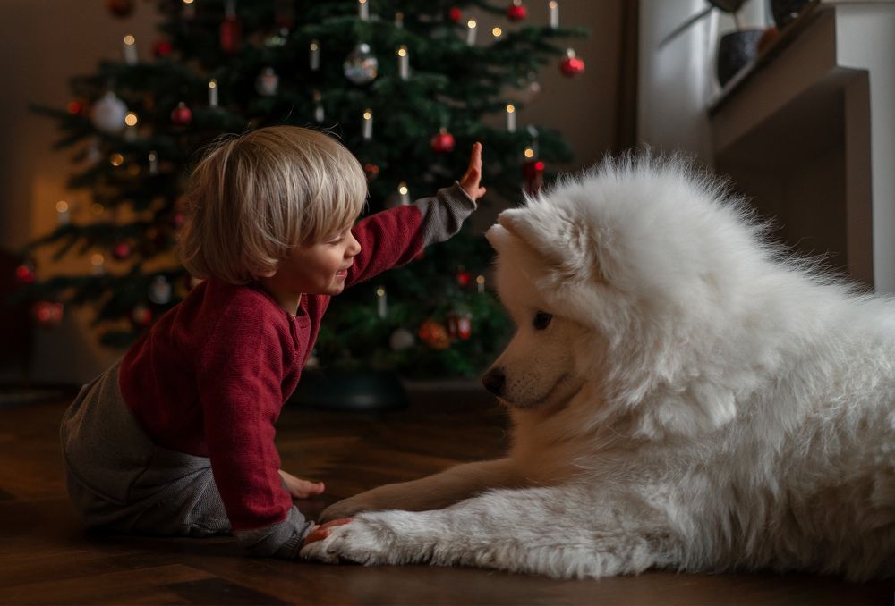 Photograph by Olga Hillenbrand