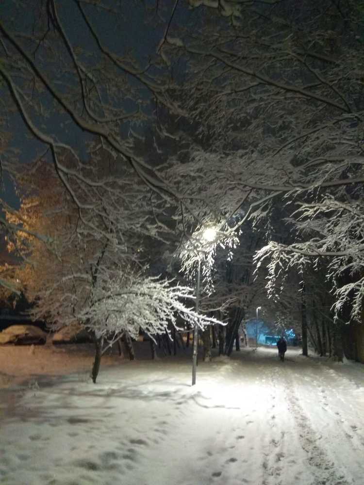 Photograph by Сергей Марцев