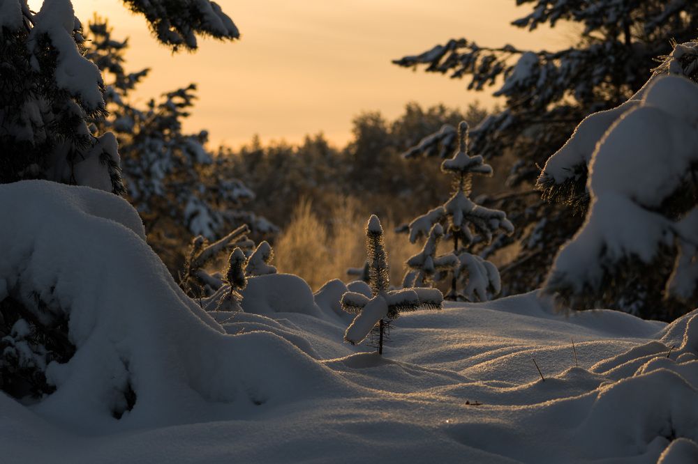 Photograph by Виталий Богачев