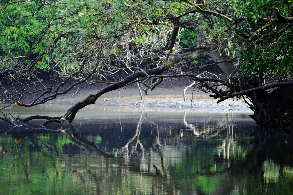Photograph by Satish Nerlekar