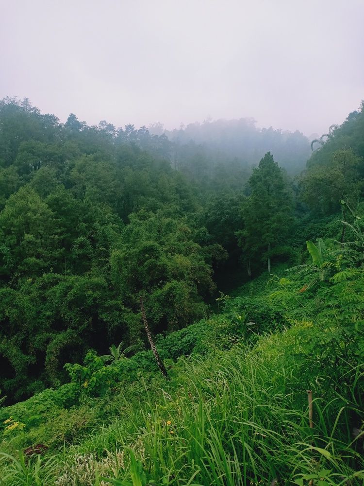Photo #6869607