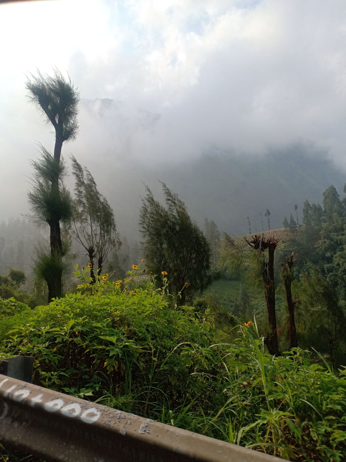 Photo #6869610