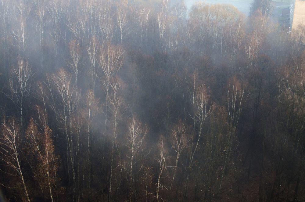 Фотография автора Людмила Куприянова