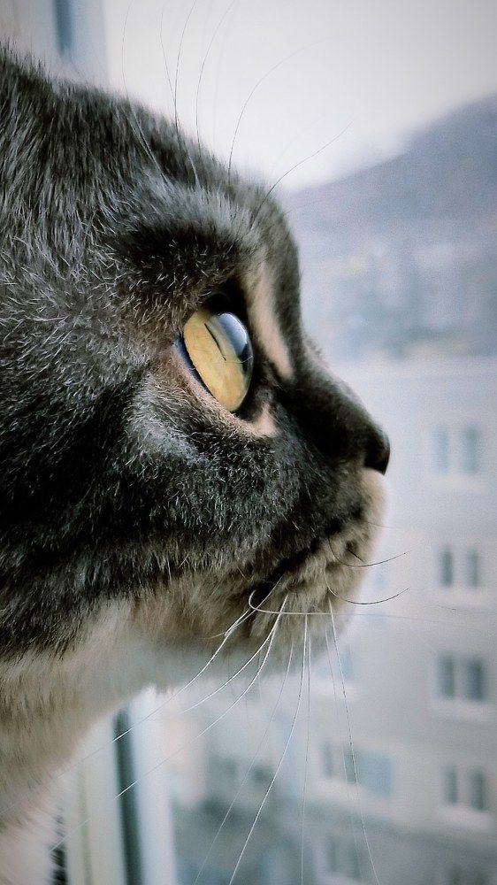 Photograph by Анна Савенко