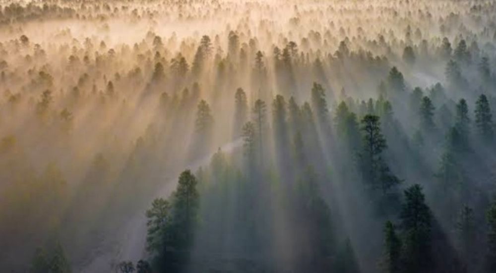 Photograph by Rana Mahboob Alam