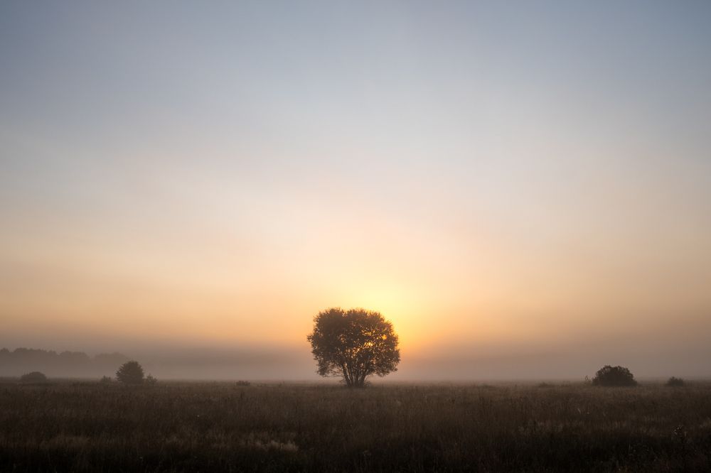 Фотография автора Tomasz Podgórny