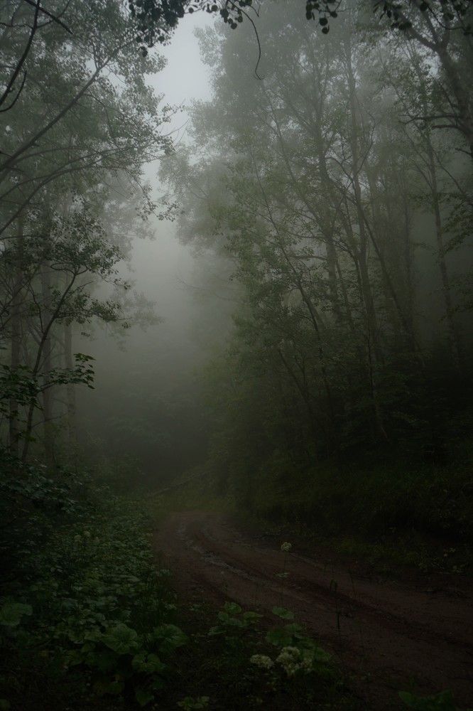 Photograph by Анжелика Гладких