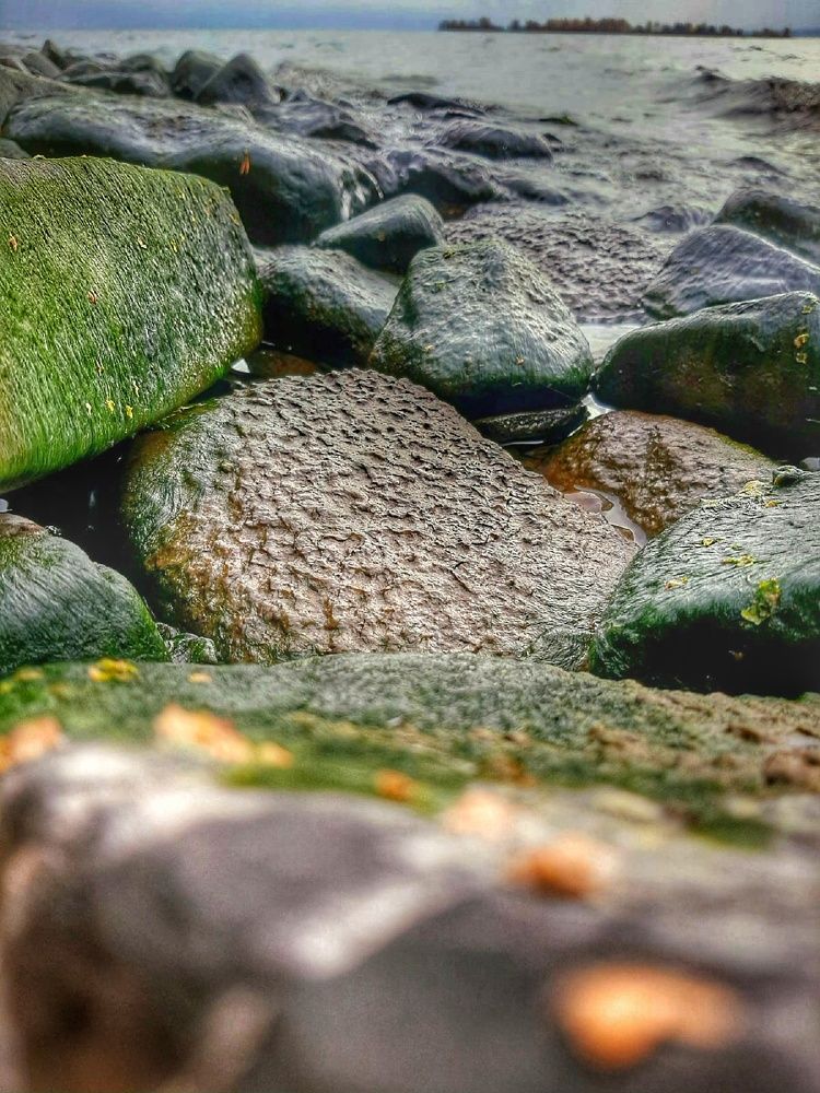 Photograph by Оля