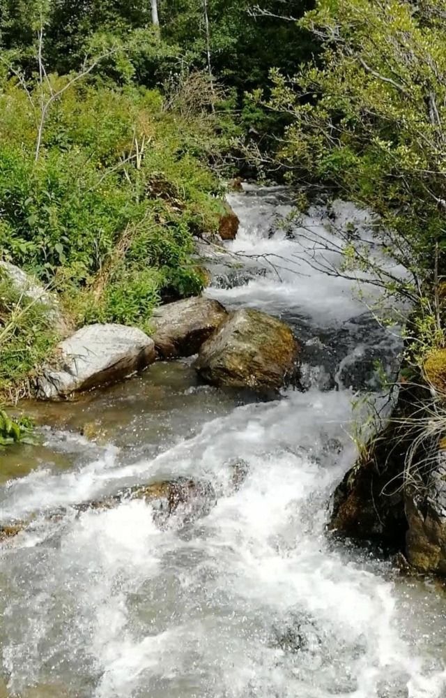 Photograph by Наталья Круглова