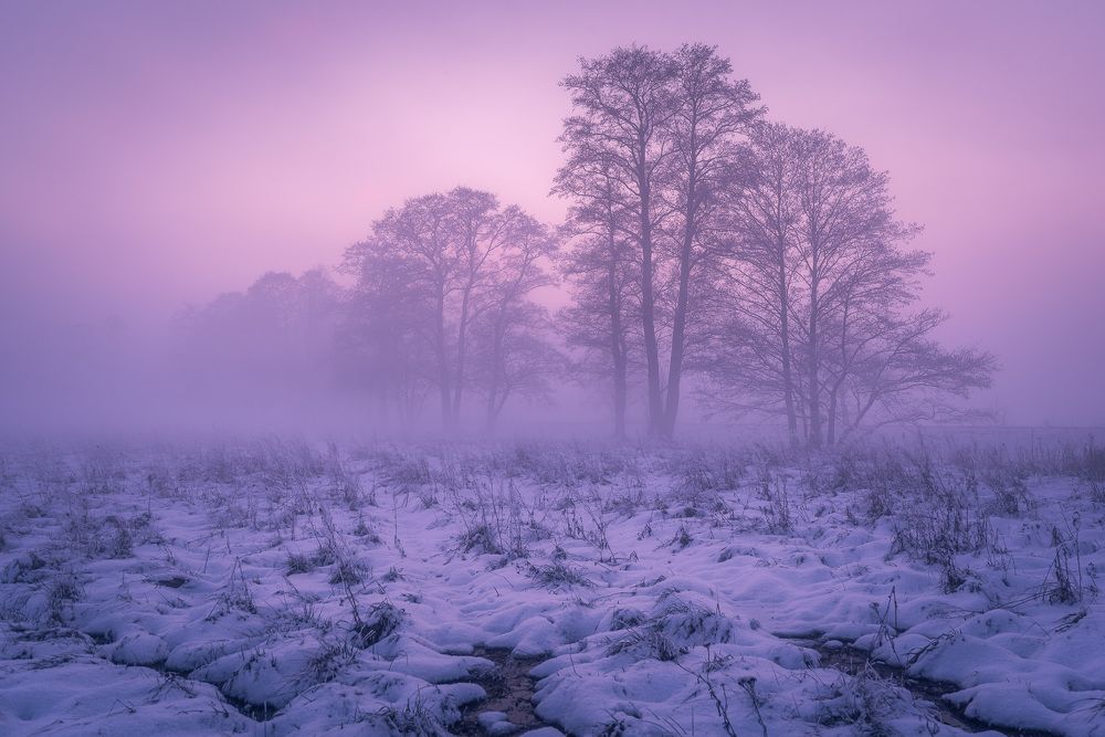 Фотография автора Michał Tomczak