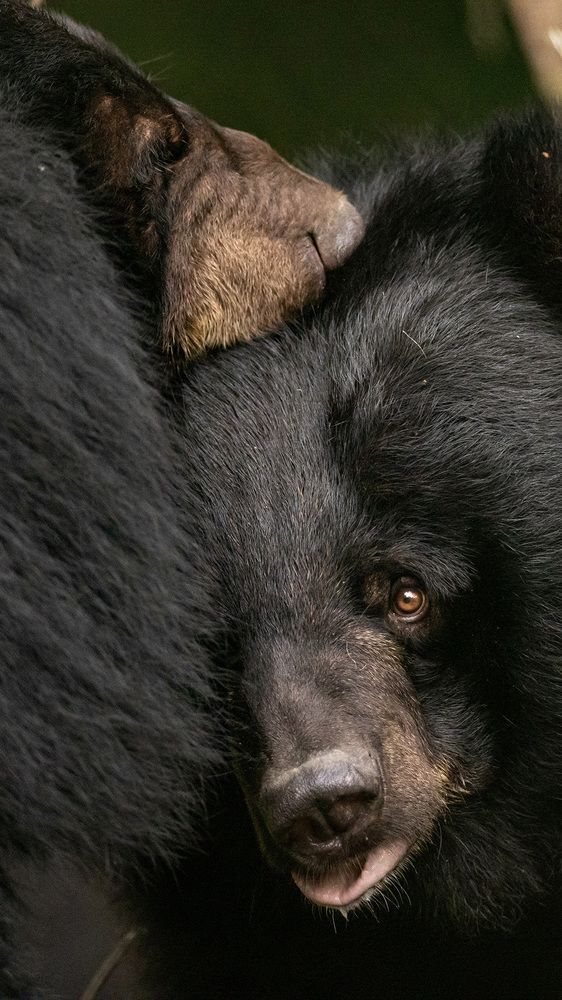 Photograph by Liu Lock